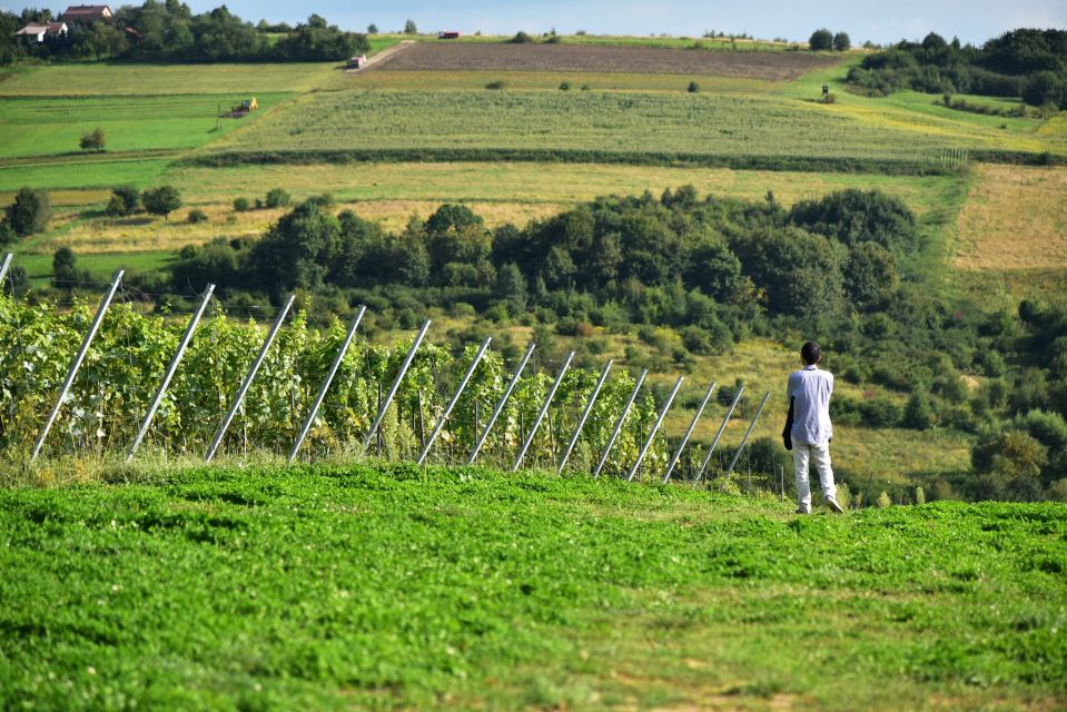 From Krakow: Wine Tasting at Vineyard - Frequently Asked Questions