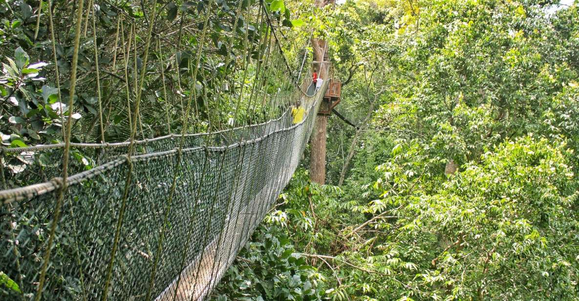 From Kuala Lumpur: Taman Negara National Park Day Tour - Tips for a Successful Trip