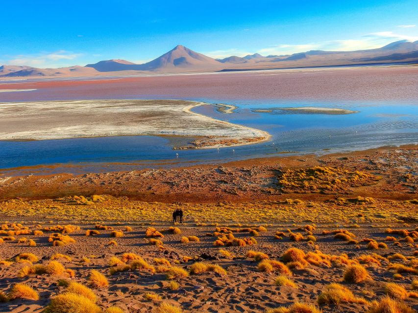 From La Paz: 5-Day Uyuni and Red Lagoon Tour With Bus Ride - Important Travel Information