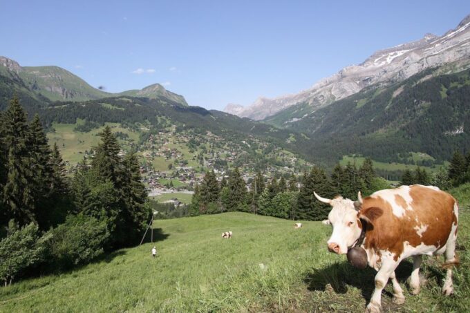 From Lausanne: Glacier 3000 Experience and Montreux - Frequently Asked Questions