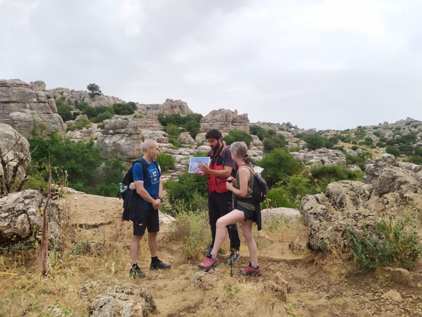 From Malaga: VIP Antequera Torcal Hiking and Dolmens Site - Customer Feedback and Ratings