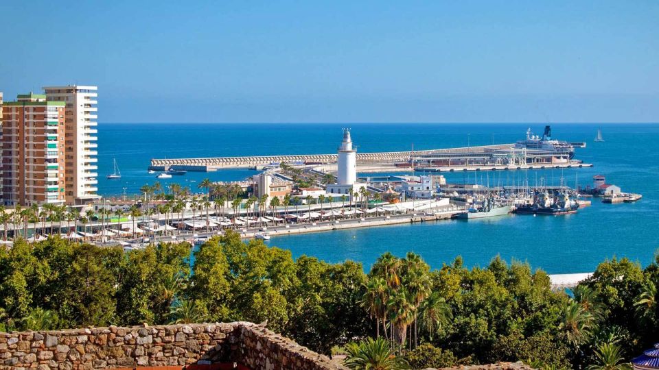 From Marbella: Malaga Private Tour - Pricing and Availability