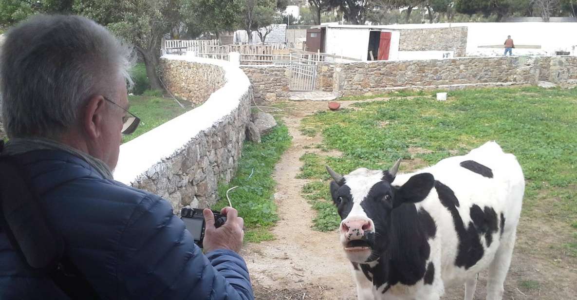 From Mykonos: Ano Mera Farm Tour - Hands-on Farming Activities