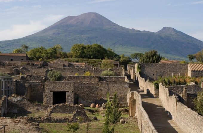From Naples: Pompei and Naples Tour With Tickets Included - Contact Information for Queries