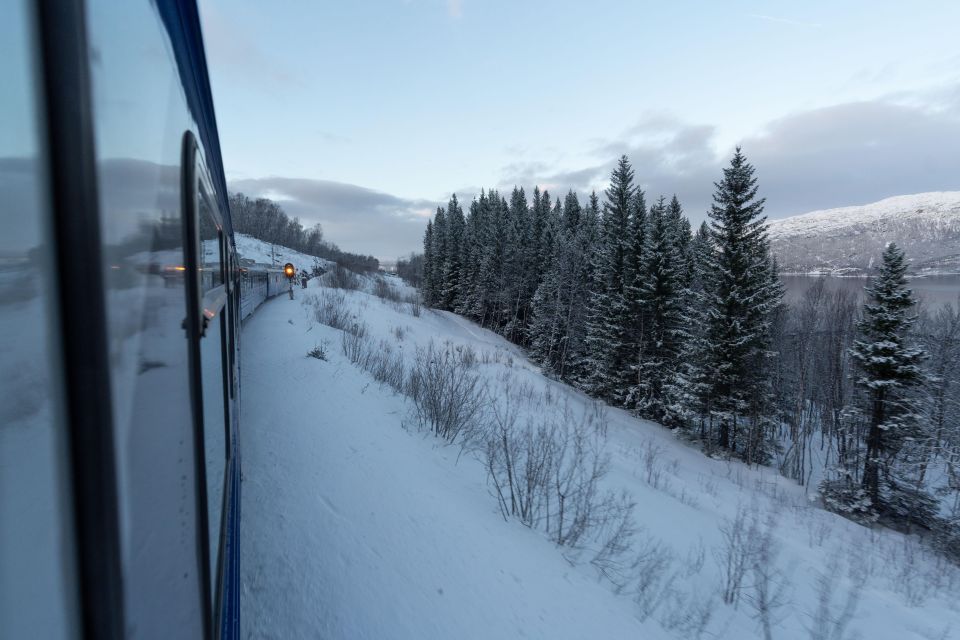 From Narvik: Round-Trip Arctic Train Ride on Ofoten Railway - Historical Significance of the Railway