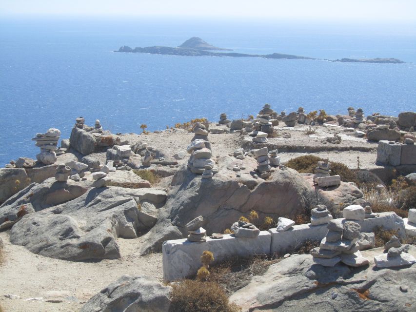 From Naxos: Delos and Mykonos Full-Day Boat Trip - Weather and Flexibility