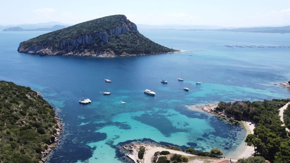 From Olbia: Tavolara or Cala Moresca Catamaran Tour - Tips for Travelers