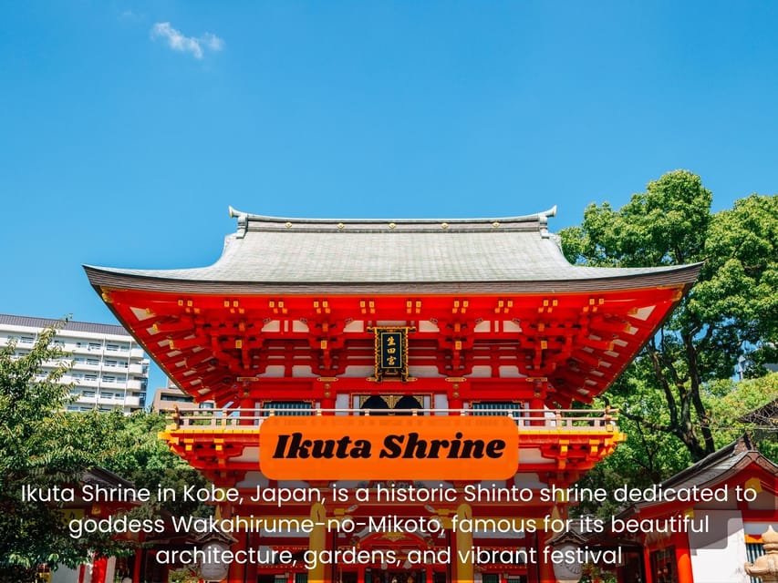 From Osaka: KOBE 1-Day TOUR With English Speaking Driver. - Customer Reviews and Testimonials