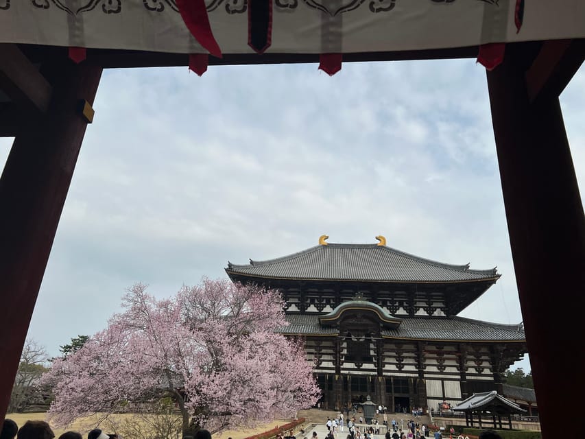 From Osaka/Kyoto:Private Kyoto-Nara Day Tour - Accessibility Features