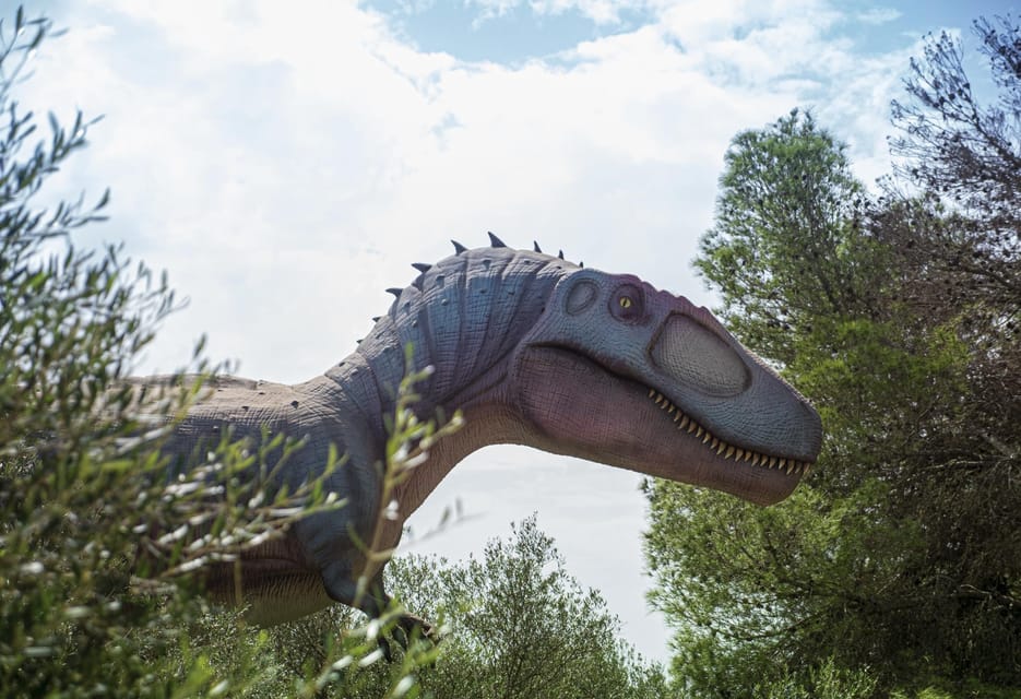 From Palma De Mallorca: Dinosaurland Tour - Booking and Cancellation