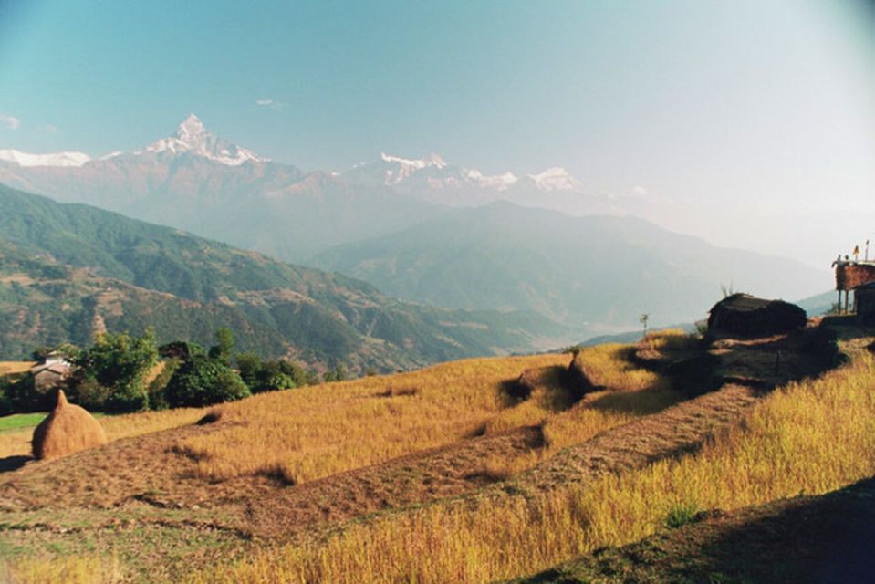 From Pokhara: 3-Day Dhampus-Sarangkot Trek - Customer Feedback