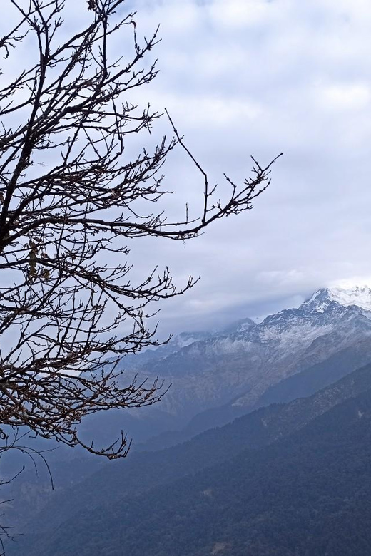 From Pokhara: 3 Days Poon Hill Short Trek - Important Considerations