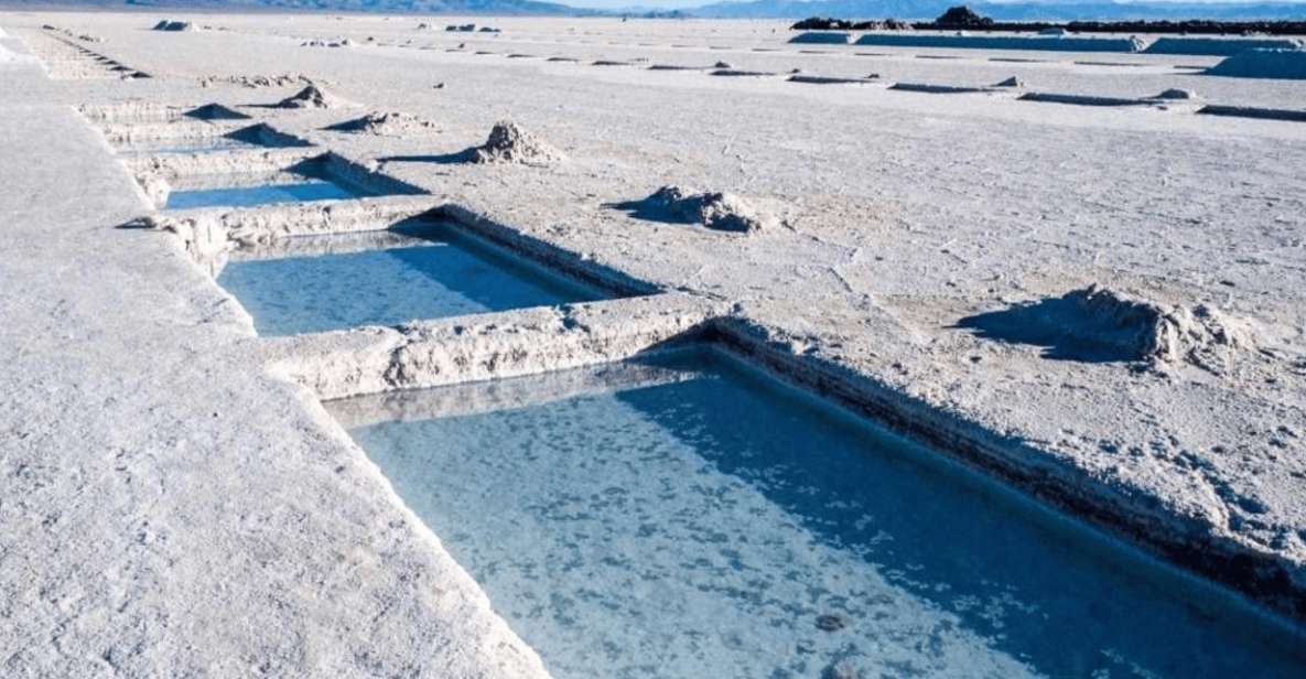 From Salta: Full-Day Tours of Cafayate and Salinas Grandes - Frequently Asked Questions