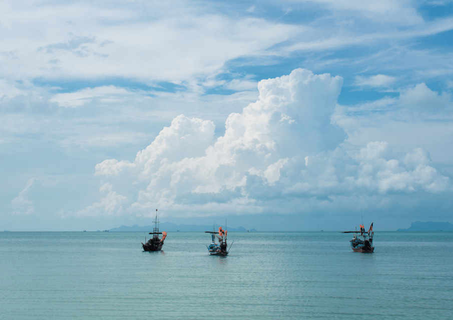 From Samui: Angthong National Park Snorkeling & Kayaking - Safety and Precautions