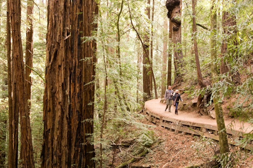 From San Francisco: Alcatraz Night & Muir Woods & Sausalito - Important Information