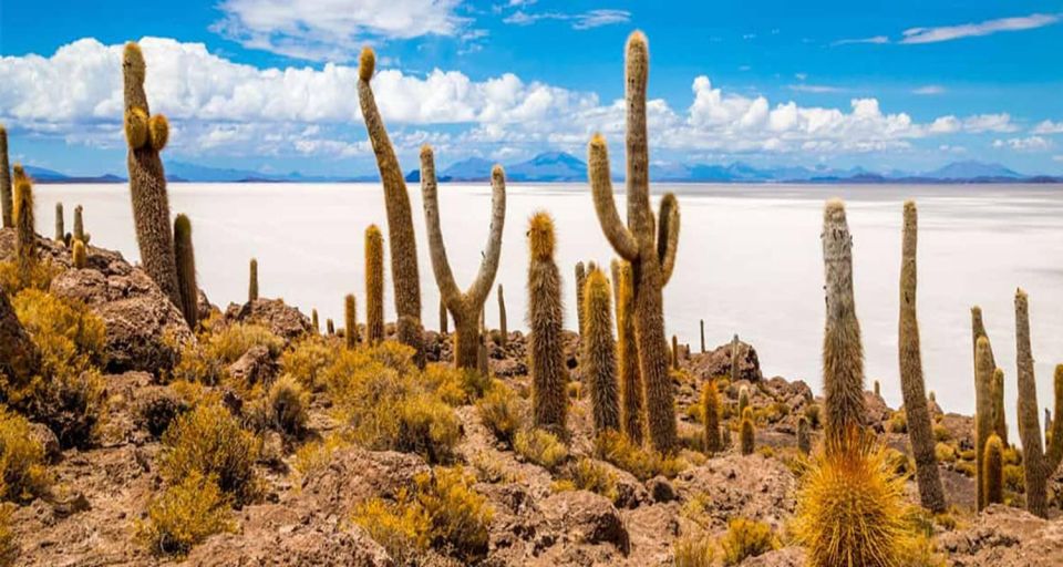 From San Pedro De Atacama | 4-Day Tour to the Uyuni Salt Flat - Booking and Cancellation Policy