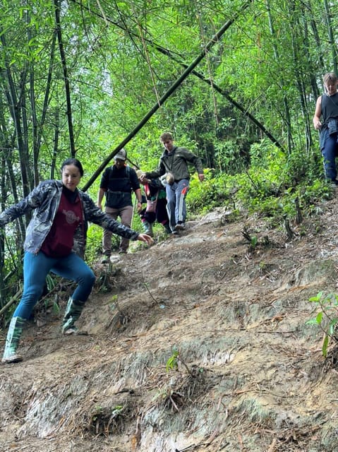 From Sapa - 1D Trek: Walk Through Bamboo Forest With Lunch - Capturing Stunning Landscapes