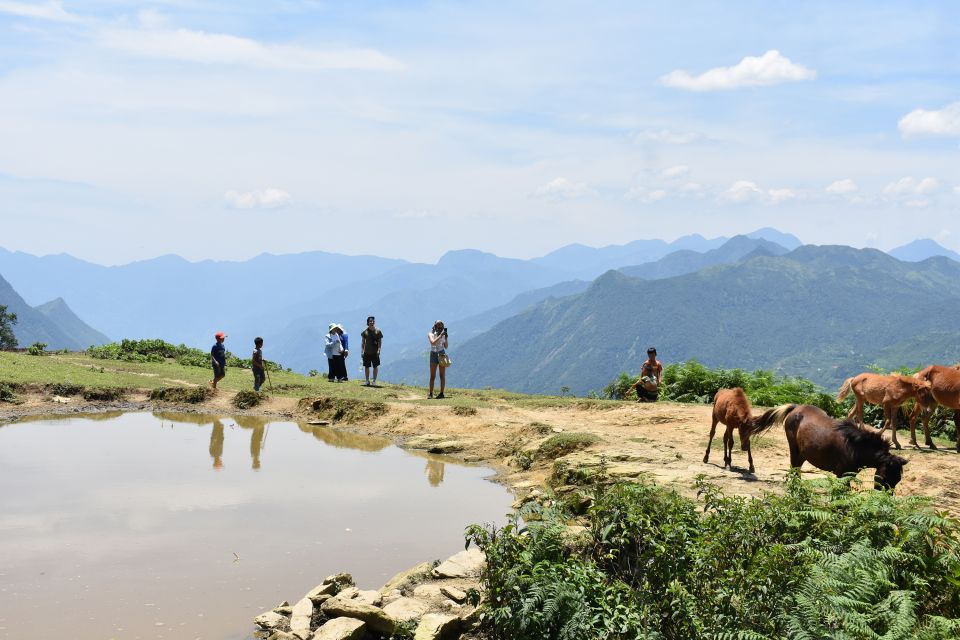 From Sapa: 2D1N Sapa Trekking Tour With Local Expert - Tips for Travelers