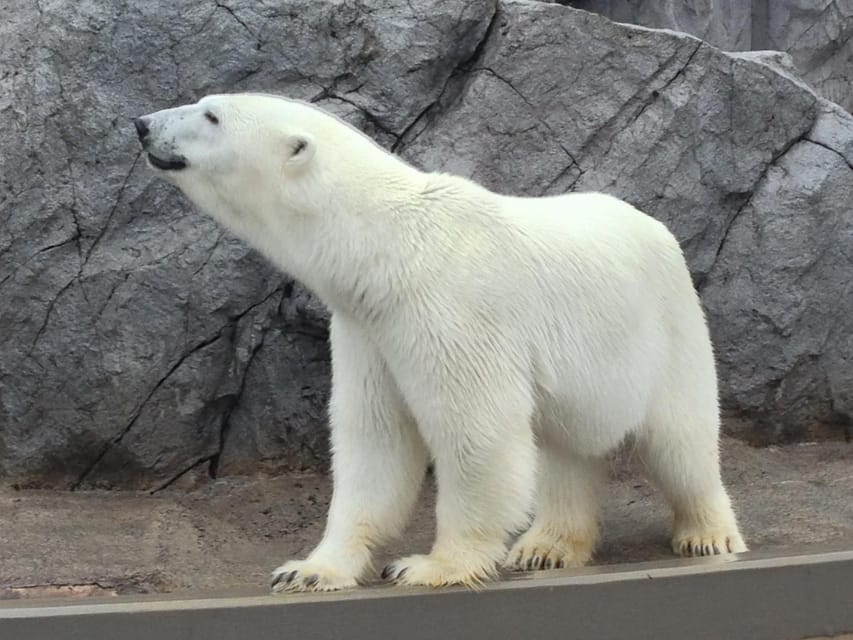 From Sapporo:Famous Asahiyama Zoo, Beautiful Biei&Furano - Frequently Asked Questions