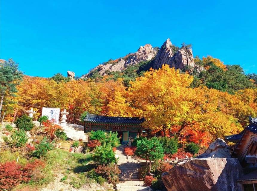 From Seoul: Seoraksan Maple Mountain With Cable Car - Customer Reviews