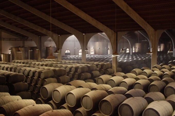 From Seville: Tour of Jerez With Horse Show & Wine Tasting - Transportation and Logistics