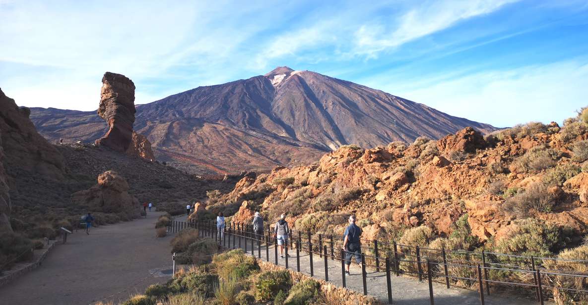 From South Tenerife: Teide National Park Tour - Visiting El Pino Gordo