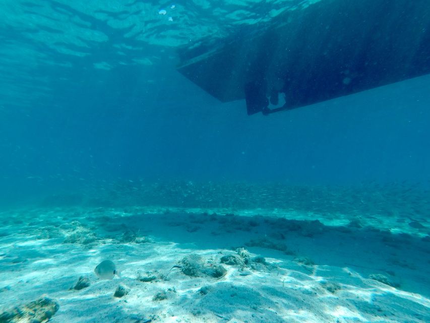 From Split: Blue Lagoon & Trogir Boat Trip With Snorkeling - Positive Customer Feedback