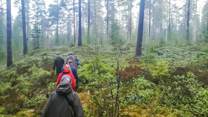 From Stockholm: Wildlife Safari With Campfire Dinner - Booking and Cancellation Details