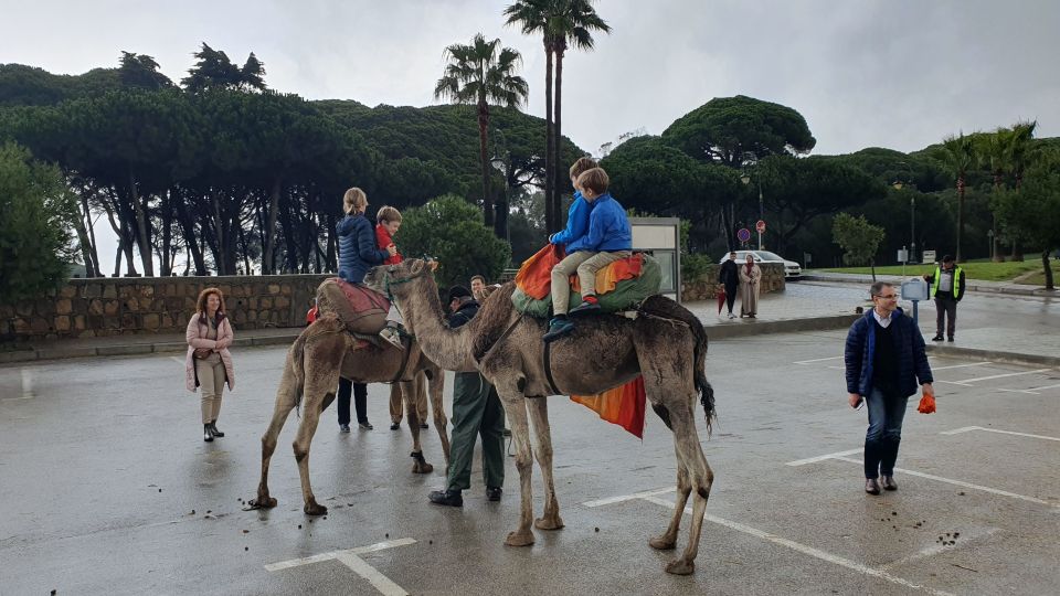 From Tarifa: Tangier Day Tour With Bazaar Shopping and Lunch - Visa and Entry Requirements