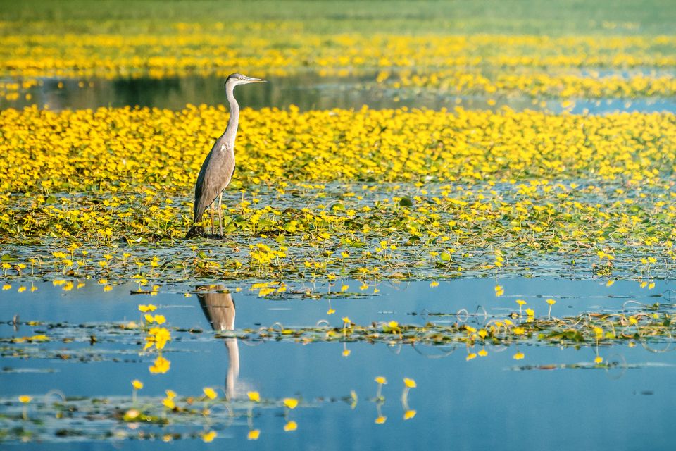 From Thessaloniki: Private Day Trip to Kerkini Lake - Booking Information