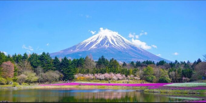 From Tokyo: 1 Full Day Mount Fuji Sightseeing Trip - Frequently Asked Questions