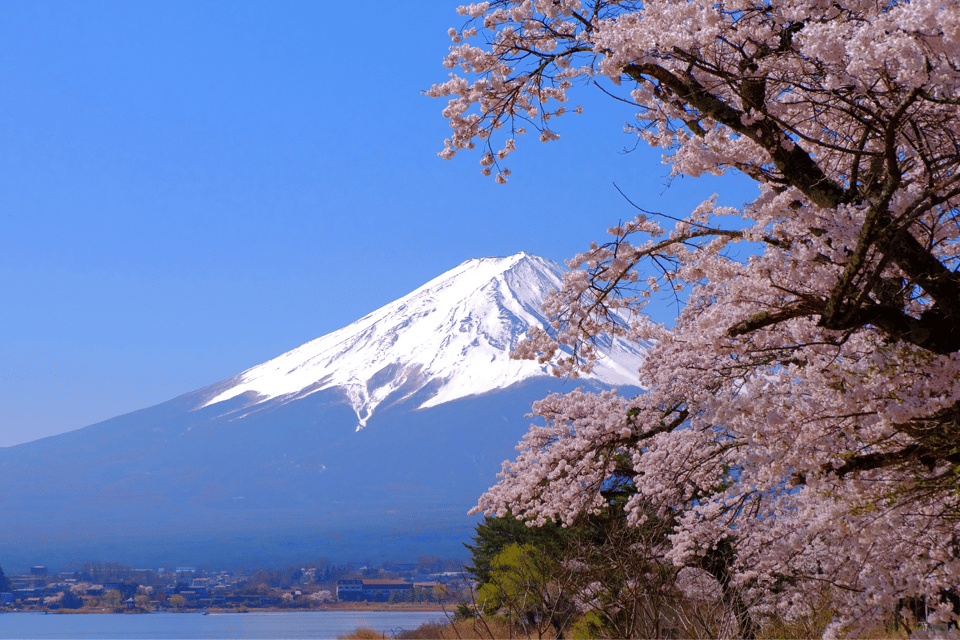 From Tokyo: Mount Fuji and Fuji 5 Lakes Private Guided Tour - Booking Information