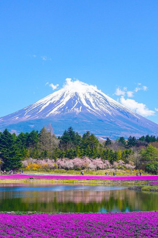 From Tokyo: Mount Fuji Day Trip With English Speaking Driver - Frequently Asked Questions