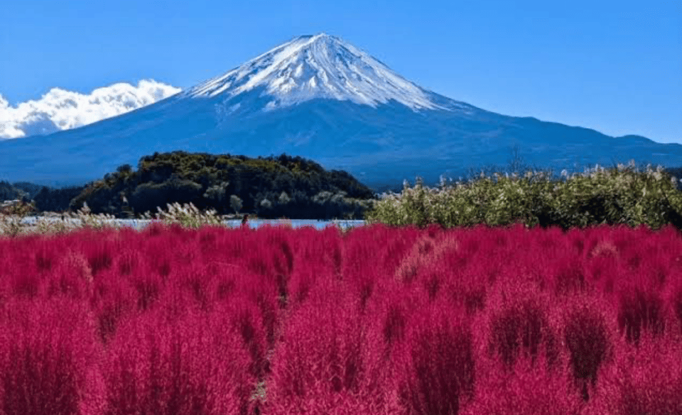 From Tokyo: Mount Fuji Full Day Private Tours English Driver - Frequently Asked Questions