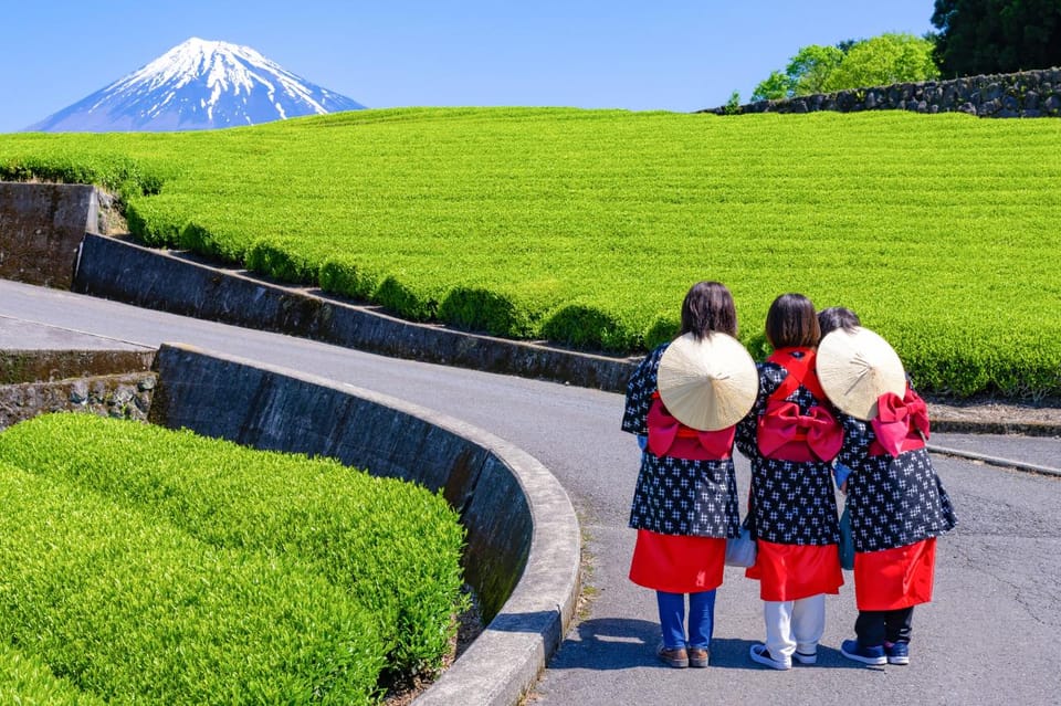 From Tokyo: Mount Fuji Highlight Photo Spots Full-Day Tour - Recap