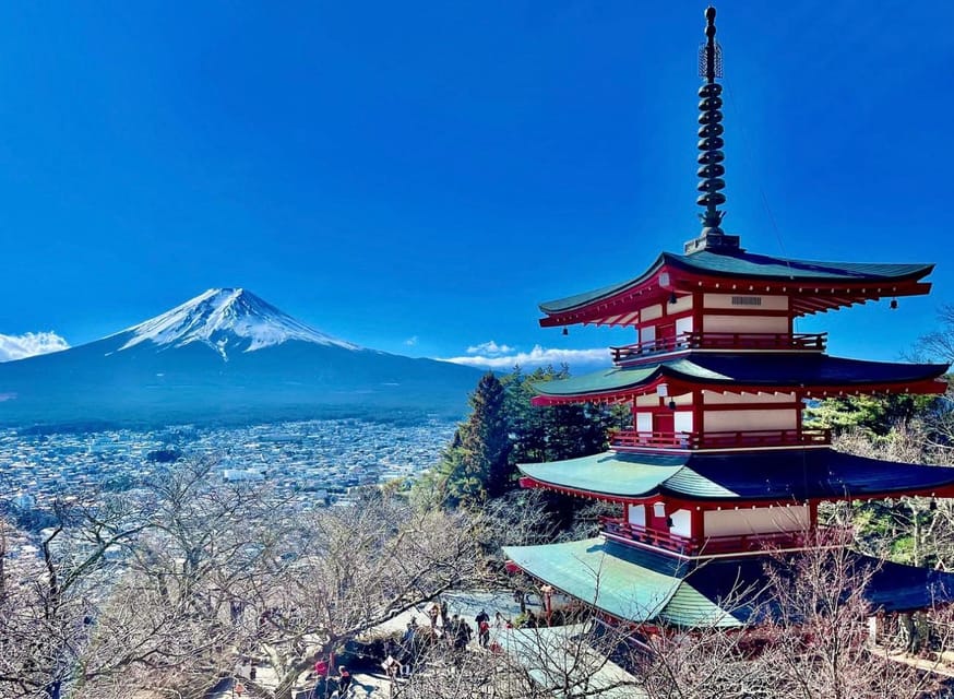 From Tokyo: Mount Fuji Sightseeing Private Group Tour - Customization Options Available