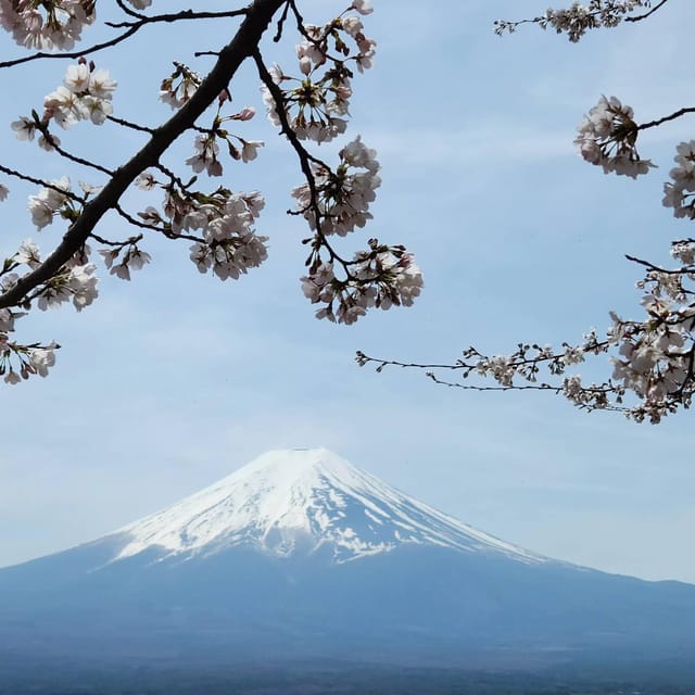 From Tokyo: Mt Fuji and Lake Kawaguchiko Private Day Trip - Frequently Asked Questions