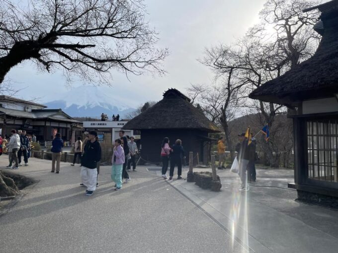 From Tokyo: Mt. Fuji & Hakone One Day Private Tour - Why Choose This Tour