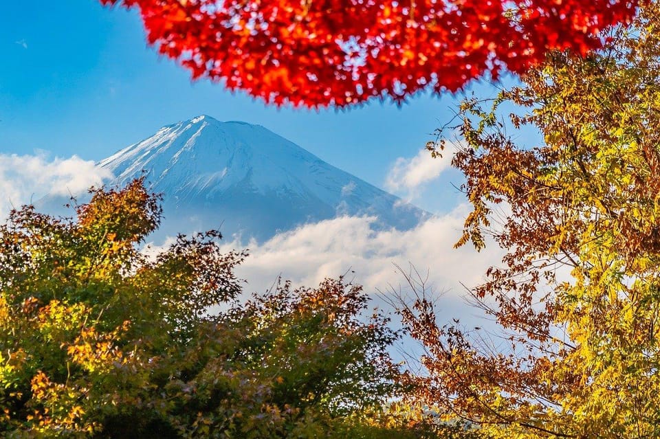 From Tokyo: Mt. Fuji or Hakone Private Sightseeing Day Trip - Frequently Asked Questions