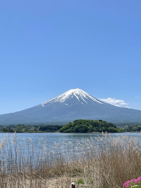 From Tokyo: Private Mt. Fuji Tour With Guide - Frequently Asked Questions