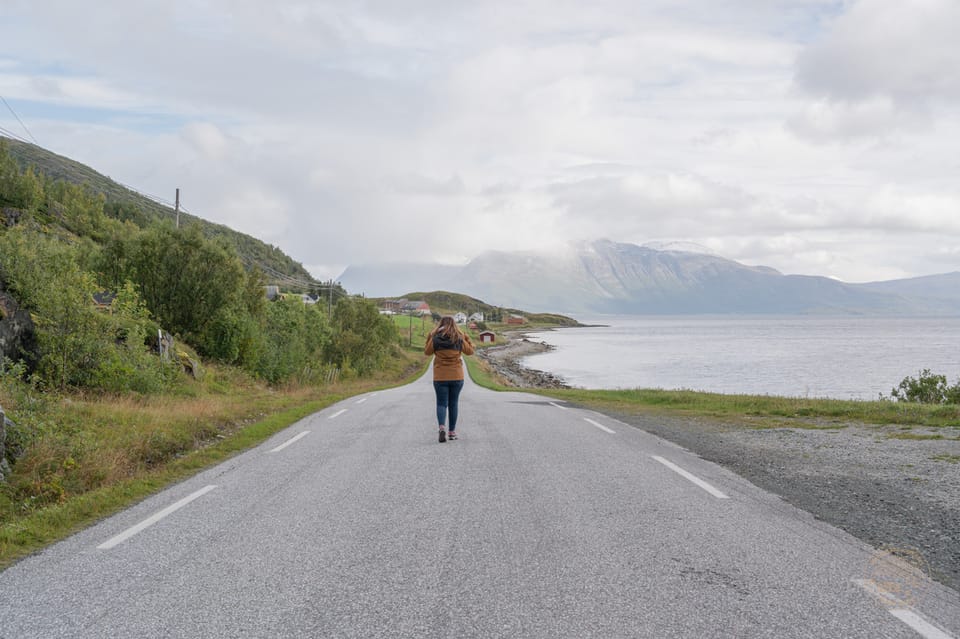 From Tromsø: Arctic Roadtrip Small Group 4x4 Van - Wildlife and Scenic Opportunities