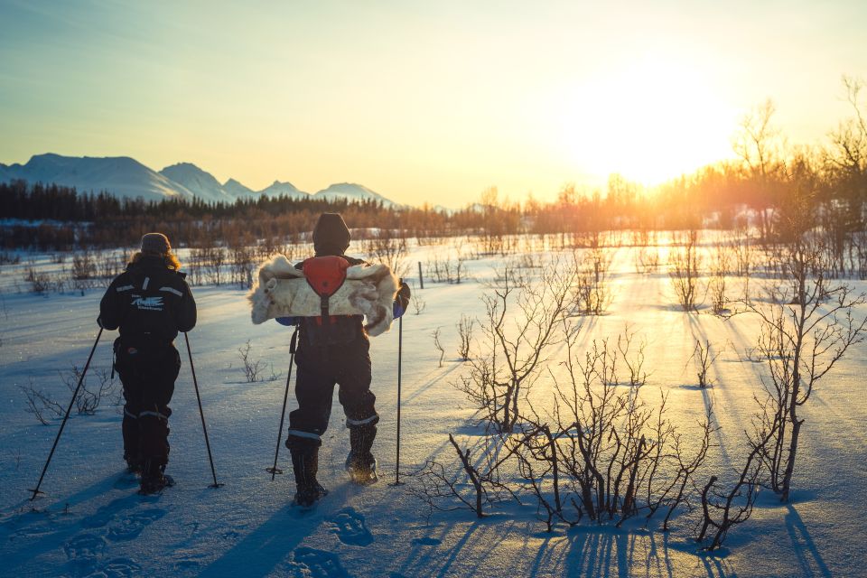 From Tromsø: Guided Husky Snowshoe Hike and Husky Camp Visit - Booking and Cancellation Information