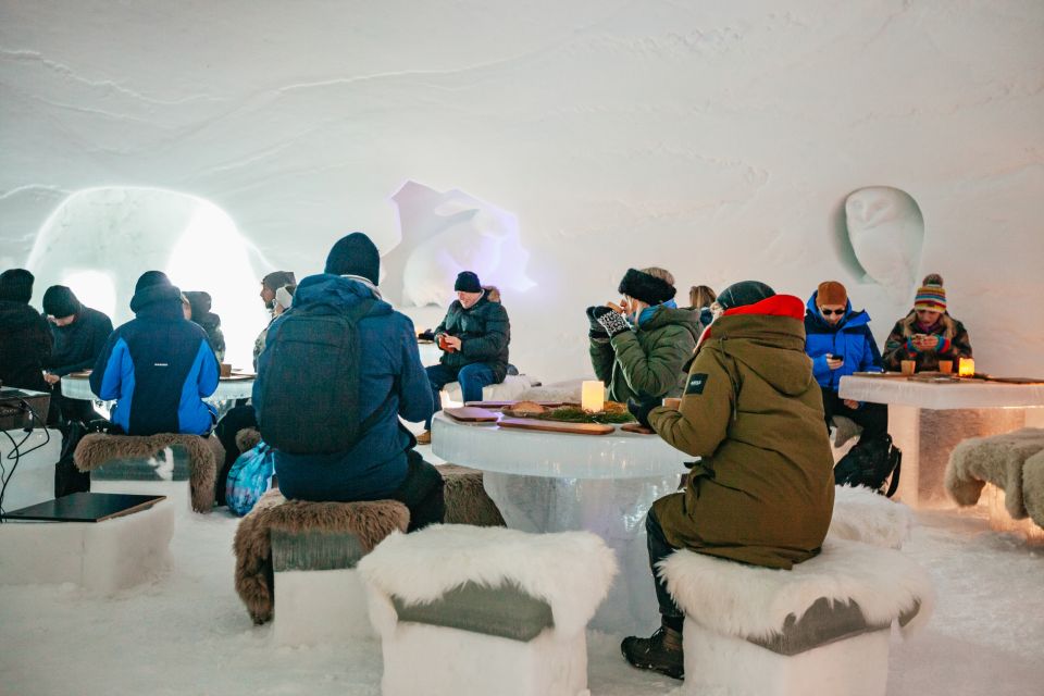 From Tromsø: Ice Domes Snow Park and Wilderness Experience - Tips for an Unforgettable Experience