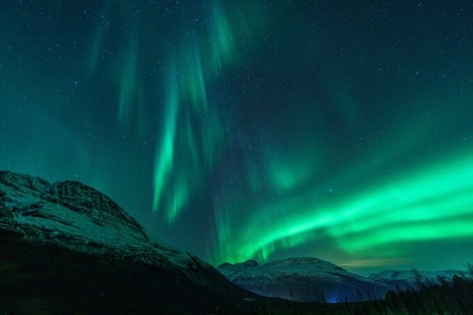 From Tromsø: Northern Lights Guided Bus Chase - Tips for a Successful Chase