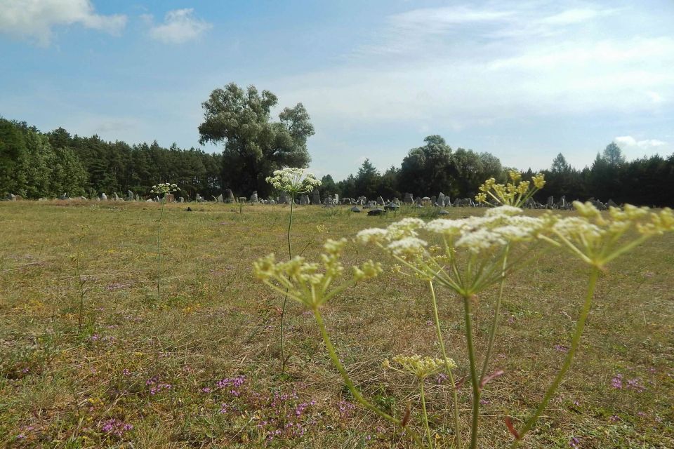 From Warsaw: Treblinka Half-Day Private Tour With Car - Booking and Cancellation Policy