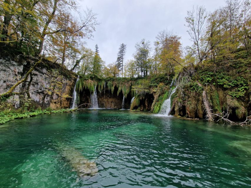 From Zadar: Plitvice Lakes Day Trip With Panoramic Boat Ride - Customer Feedback