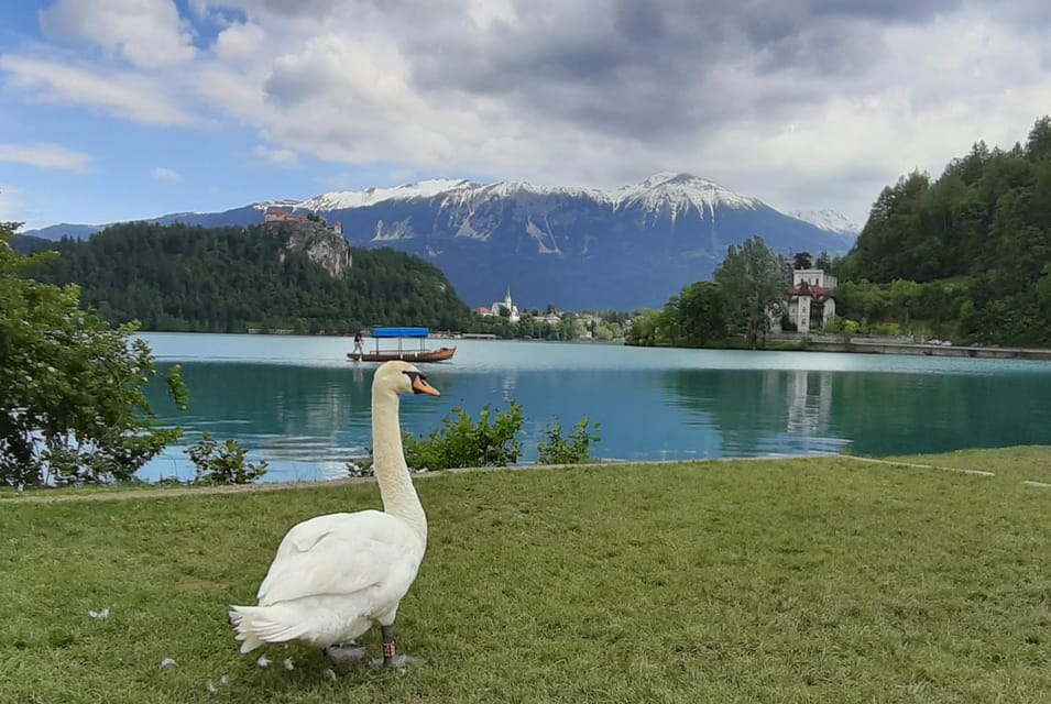 From Zagreb: Day Trip to Lake Bled and Ljubljana - Tips for Your Trip