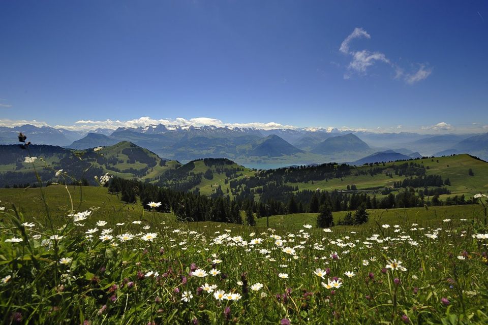 From Zürich: Day Trip to Rigi and Lake Lucerne - Tips for a Memorable Trip