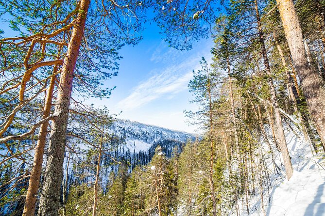 Frozen Waterfalls in Korouoma Canyon Adventure - Booking Information