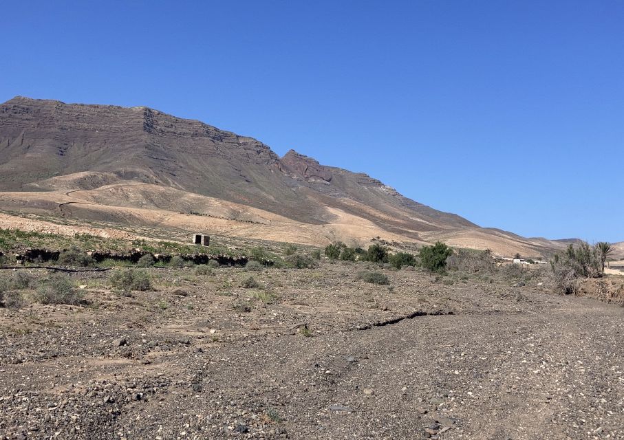 Fuerteventura: Guided Trekking Tour With Island Goats - Frequently Asked Questions